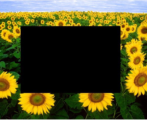 Design 528465 Canvas Prints