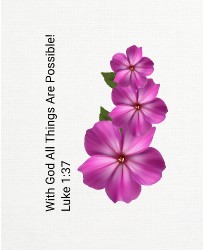 Design 529285