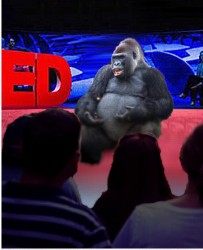 Ted Talk