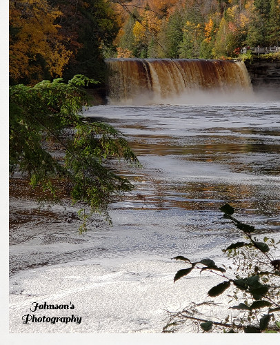 Design 542800 Canvas Prints