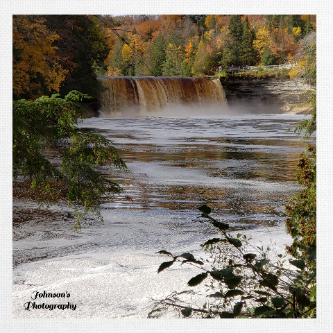 Design 542808 Canvas Prints