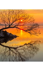 Nature canvas