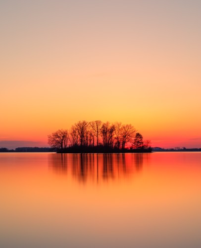 Design 547358 Canvas Prints