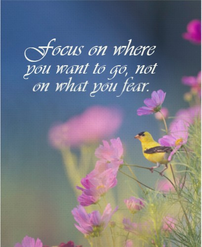 Design 559549 Canvas Prints