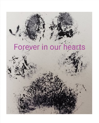 Design 572784 Canvas Prints