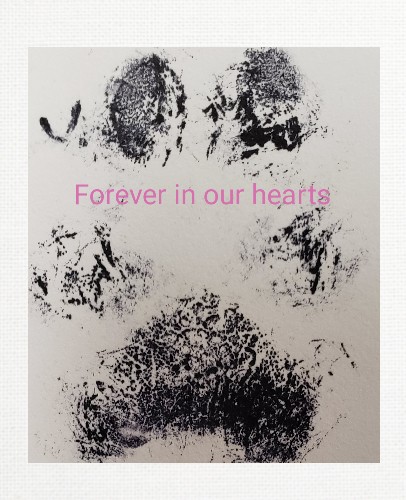 Design 572786 Canvas Prints