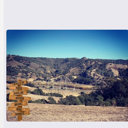 Design 575374 Canvas Prints