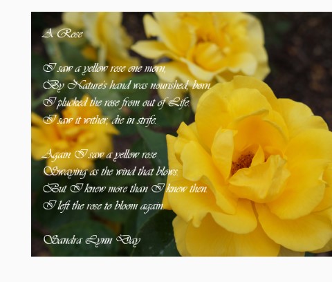 Design 575399 Canvas Prints