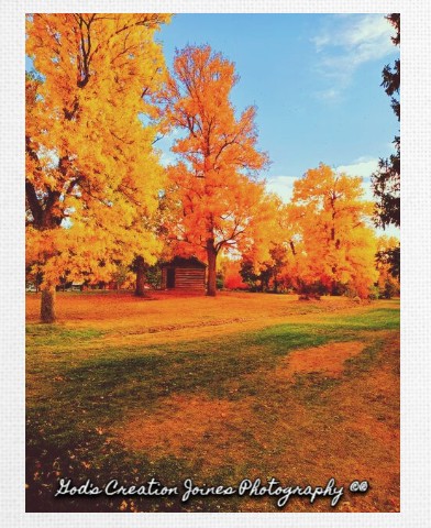 Design 576528 Canvas Prints