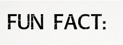 Fun Fact