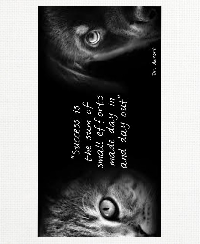 Design 586373 Canvas Prints