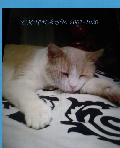 Design 592043 Canvas Prints