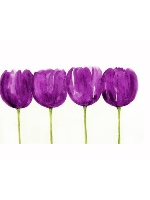 Design 59552