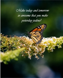 Live Life