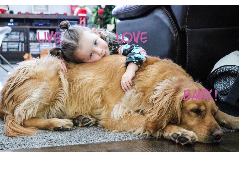 Design 596864 Canvas Prints