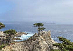 Design 604229 Canvas Prints Image