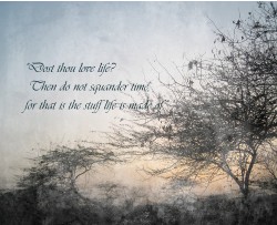 Design 608806 Canvas Prints Image