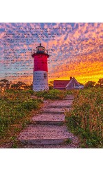 Design 609220 Canvas Prints Image