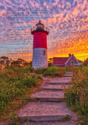 Design 609229 Canvas Prints Image