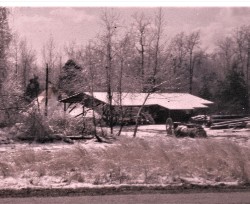 Design 613638 Canvas Prints Image