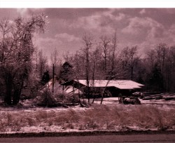 Design 613639 Canvas Prints Image