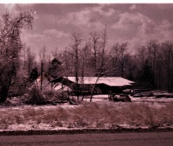 Design 613652 Canvas Prints Image