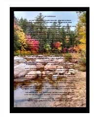 Design 613823 Canvas Prints Image