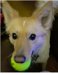 Design 615213 Canvas Prints Image