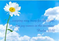 Design 615319 Canvas Prints Image