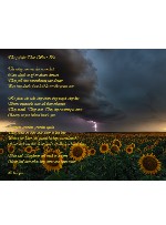 Design 616106 Canvas Prints Image