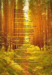 Design 617054 Canvas Prints Image