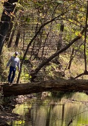 Design 617161 Canvas Prints Image