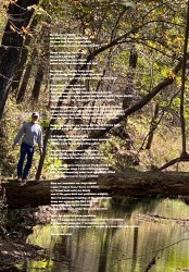 Design 617163 Canvas Prints Image