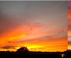 Design 617976 Canvas Prints Image