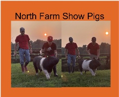 Design 619301 Canvas Prints Image