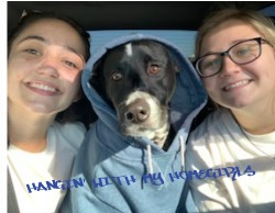 Design 621690 Canvas Prints Image