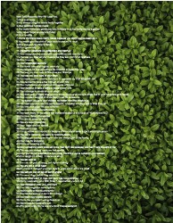 Design 623378 Canvas Prints Image