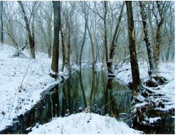 Design 623729 Canvas Prints Image