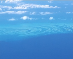 Design 625202 Canvas Prints Image