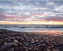 Design 627549 Canvas Prints Image