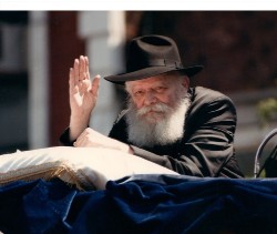 Design 628094 Canvas Prints Image