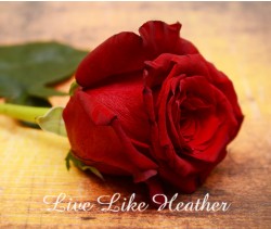 Design 628192 Canvas Prints Image