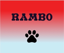 Design 628674 Canvas Prints Image