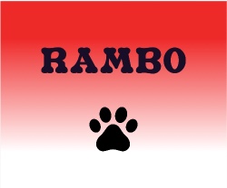 Design 628675 Canvas Prints Image