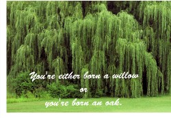 Design 628987 Canvas Prints Image