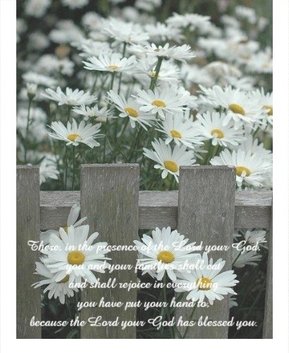 Design 630035 Canvas Prints