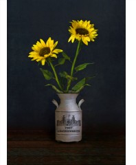 Design 630756 Canvas Prints Image