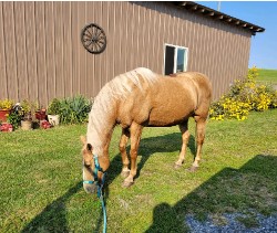 Design 631759 Canvas Prints Image