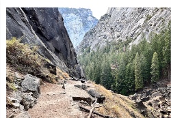 Design 632376 Canvas Prints Image