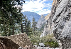 Design 632378 Canvas Prints Image